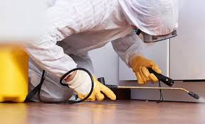 Emergency Pest Control Services in Bonsall, CA